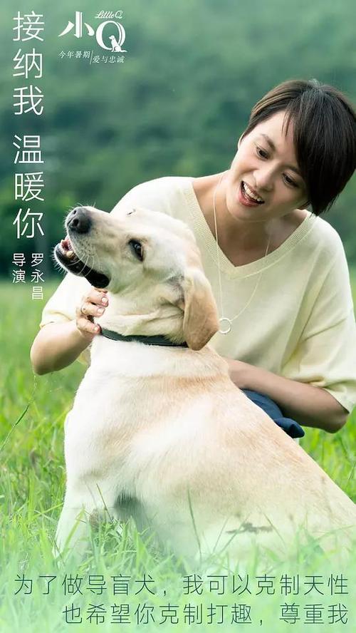 拉罗谢尔大学 Art diploma